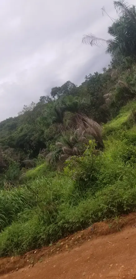 Souguéta — Télimélé (Guinea)