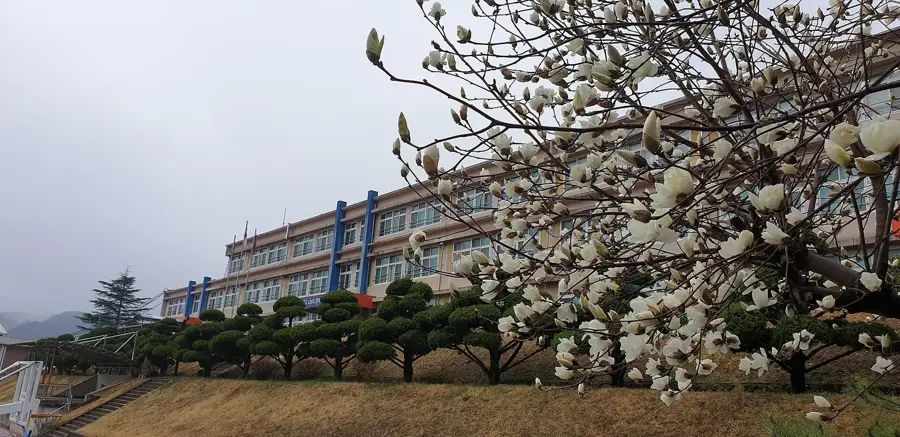Cheongsong — Pohang (Coreea de Sud)
