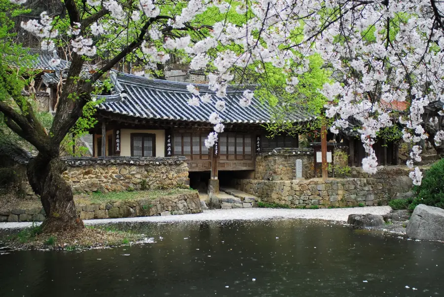 Daejeon — Pohang (Coreea de Sud)