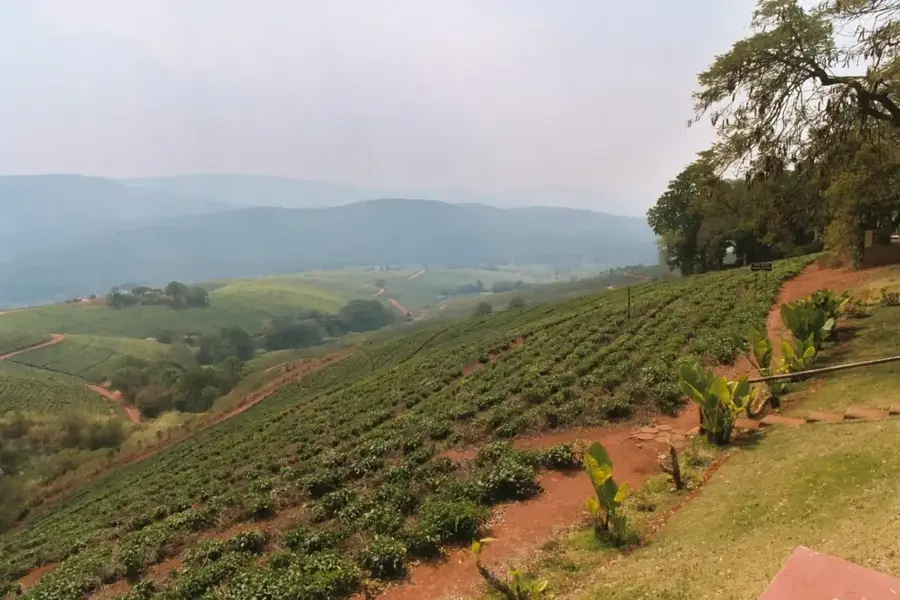 Tzaneen — Graskop (Dél-afrikai Köztársaság)