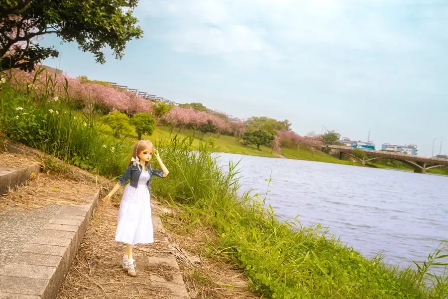 Parcul Științific Taiwanul de Sud — Budai Township (Taiwan)
