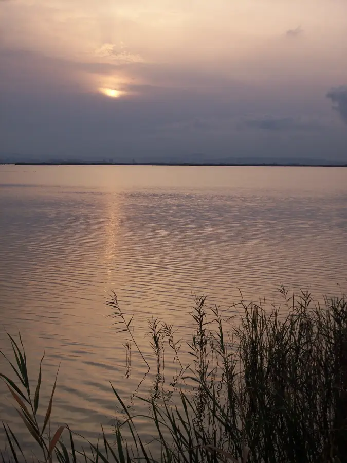 Albufera (El Palmar) – Stadt