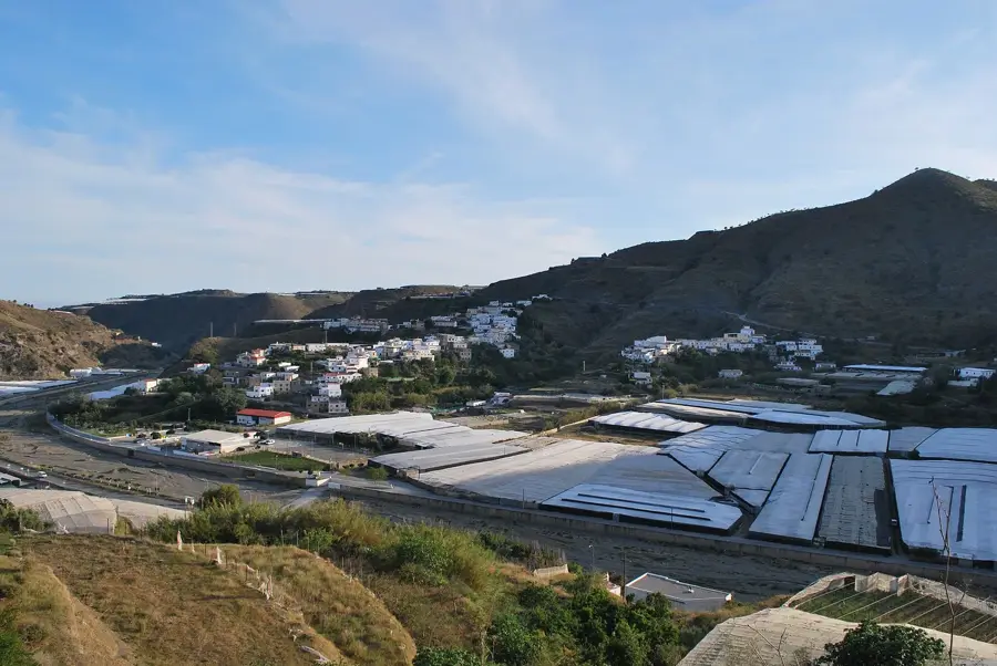 Albuñol