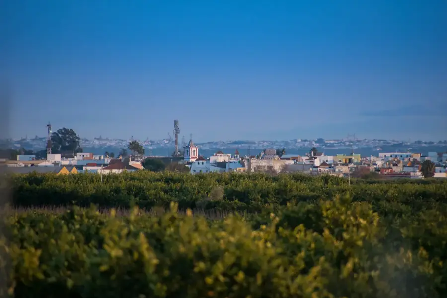 Brenes – Stadt