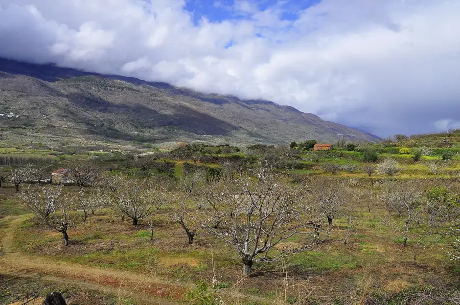 Valle del Jerte (Cabezuela del Valle) – Stadt