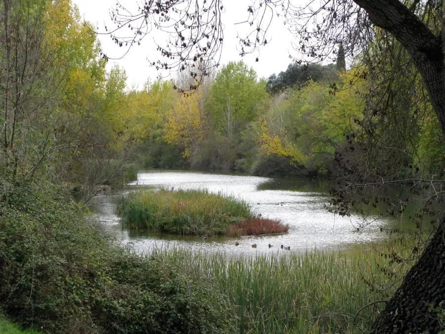 Manzanares – Stadt