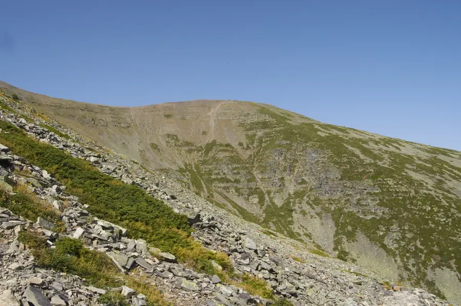 Moncayo