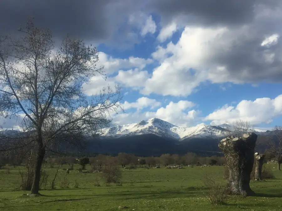 Moralzarzal – Stadt