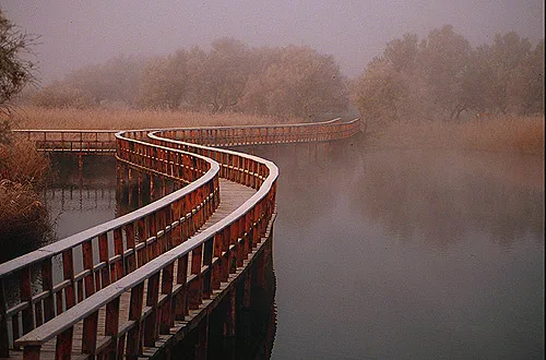 Nationalpark Tablas de Daimiel