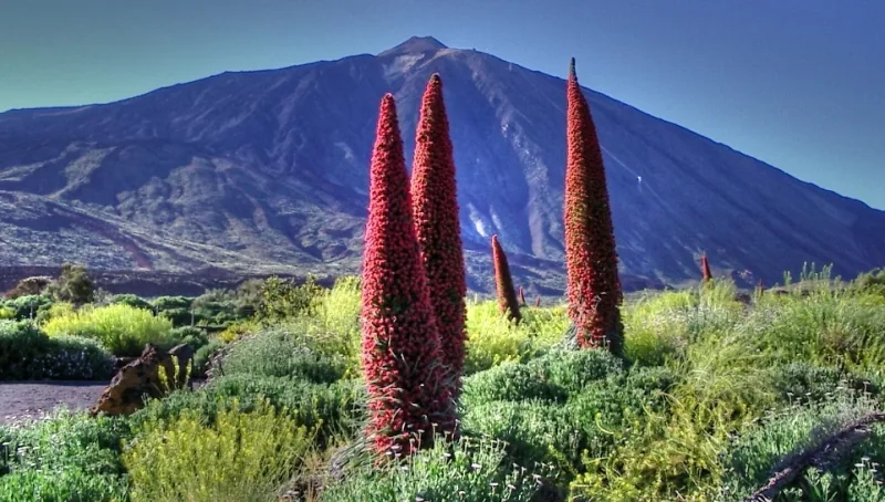 Nationalpark Teide