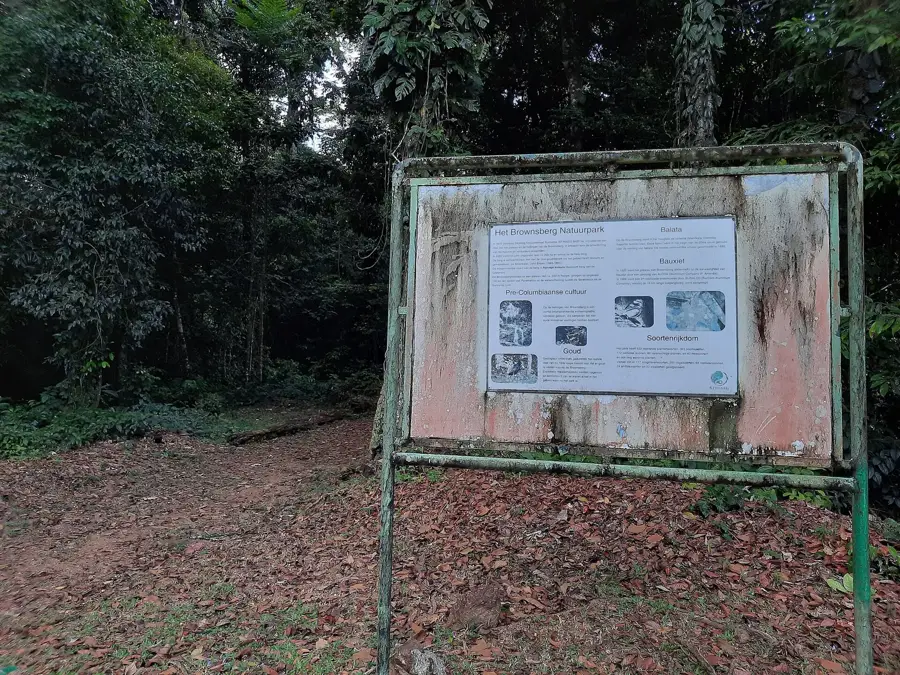 Brownsberg Nature Reserve
