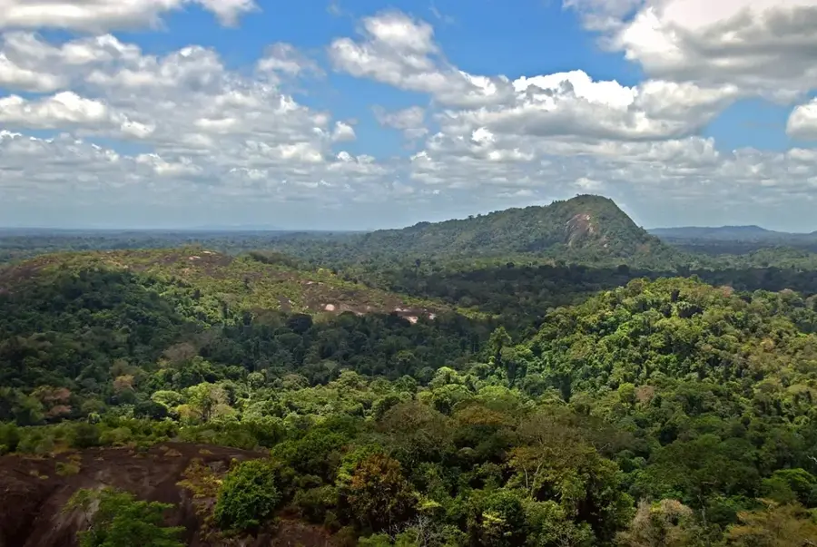 Central Suriname Nature Reserve