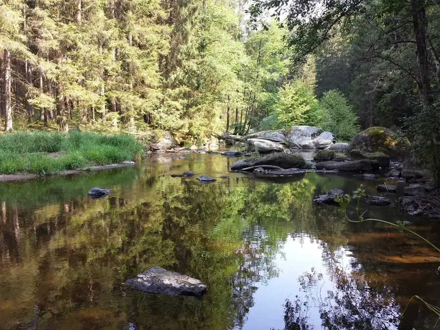 Camp 52
