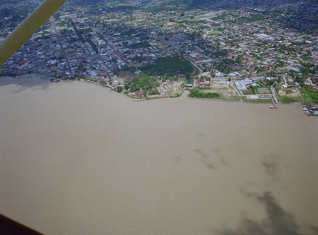 Surinaamse Brewery — Palmentuin (Suriname)