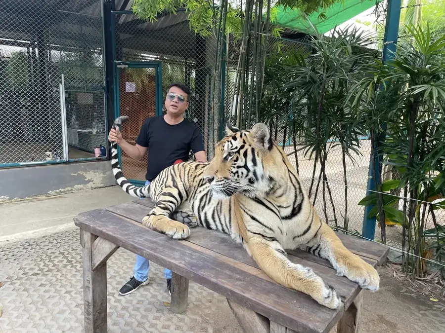 Grădina Zoologică de Tigri Sriracha (Agricultură)
