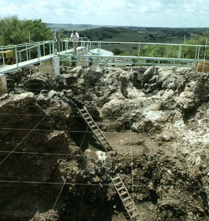 Peșterile Sterkfontein