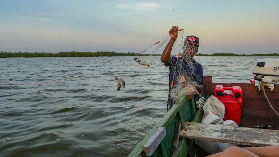 Bigi Pan — Coppename River (Suriname)