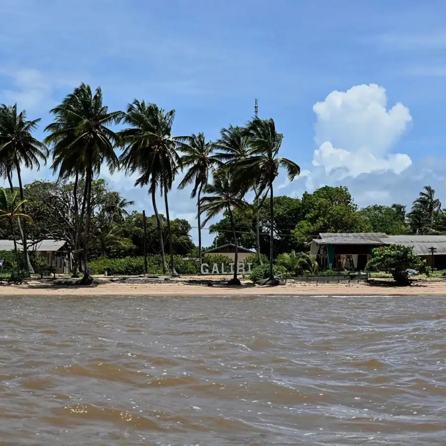 Rezervația Naturală Galibi — Atjoni (Suriname)