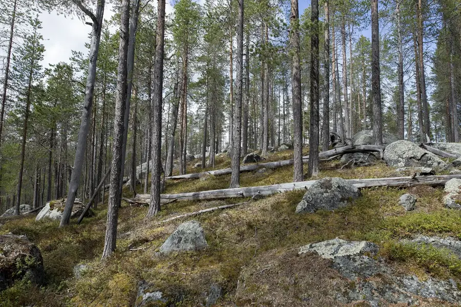 Nationalpark Björnlandet