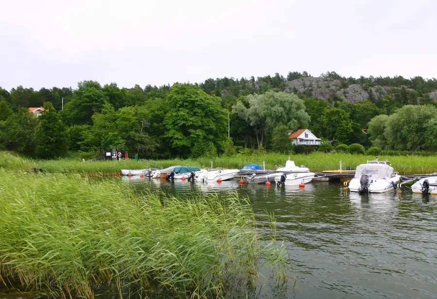 Brevikshalvön