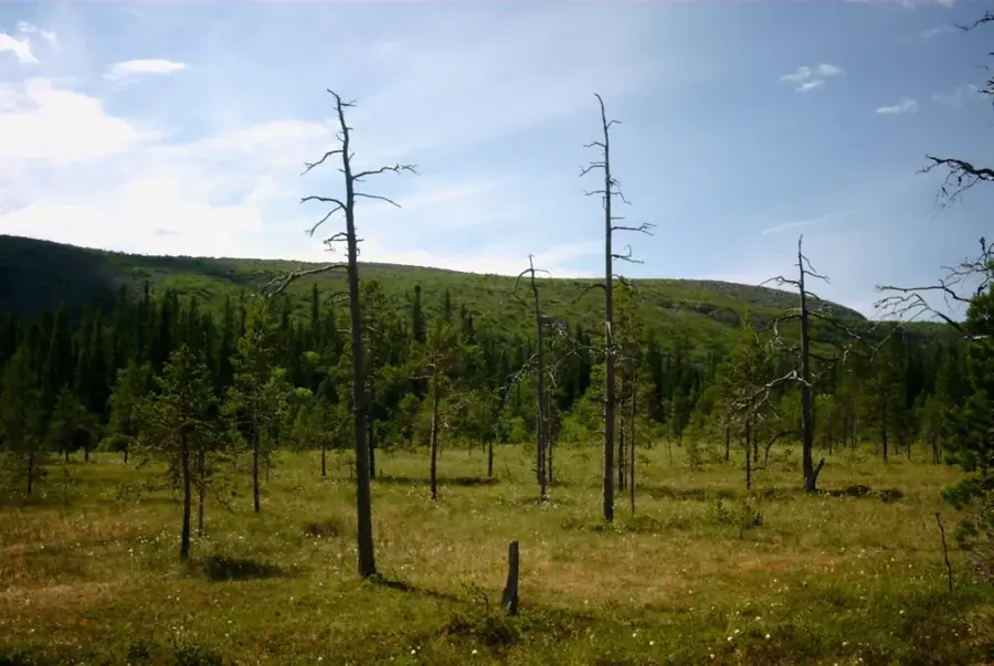 Nationalpark Fulufjället