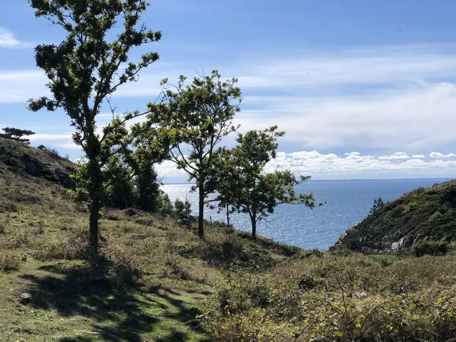 Kullaberg Nature Reserve