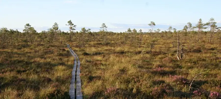 Store Mosse National Park