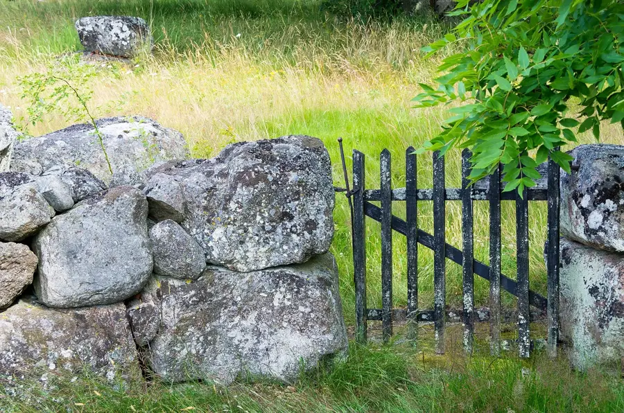 Tjärö