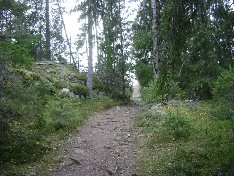 Tyresta National Park