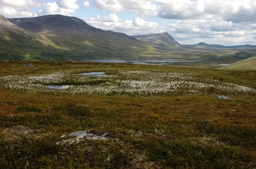 Vindelfjällen
