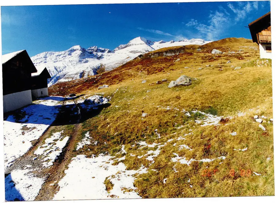 Aletsch Arena