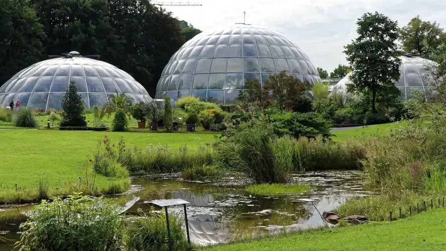 Grădina Botanică Zürich — Cham (Elveția)