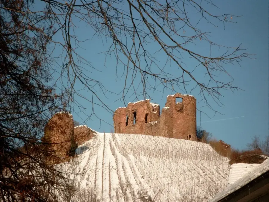Ruinele castelului Gutenburg — Grenchen (Elveția)