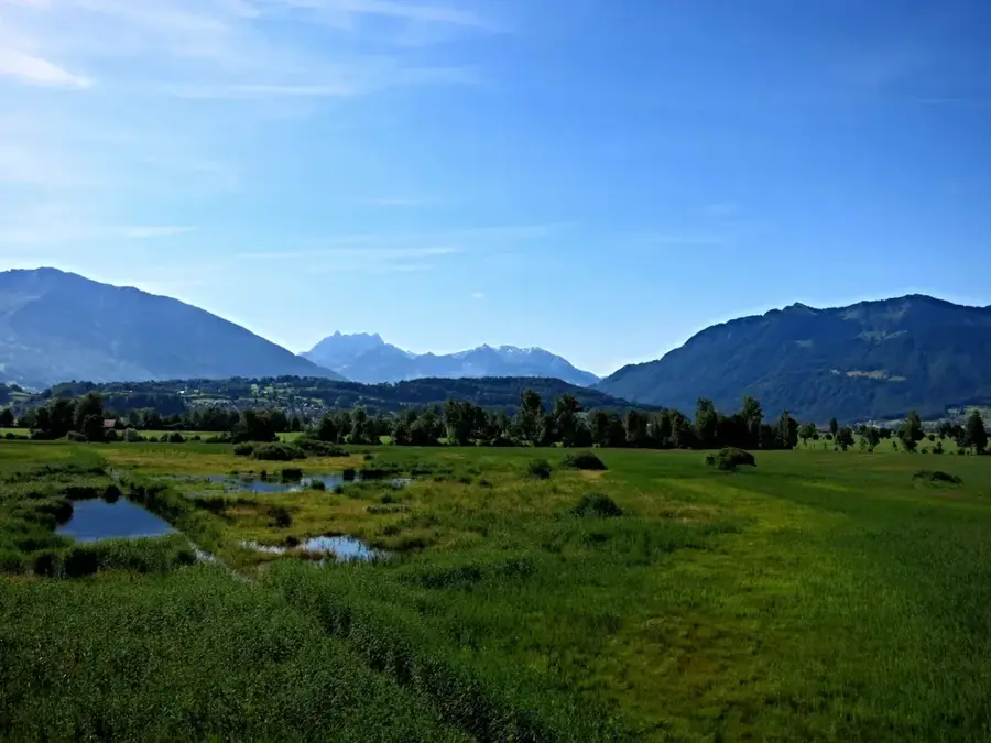 Kaltbrunner Riet — Wil (Elveția)