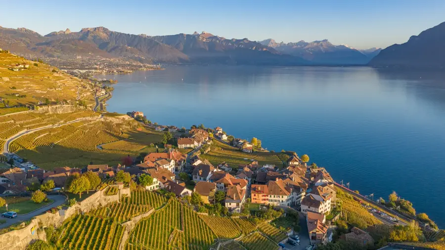 Lavaux — Pully (Elveția)