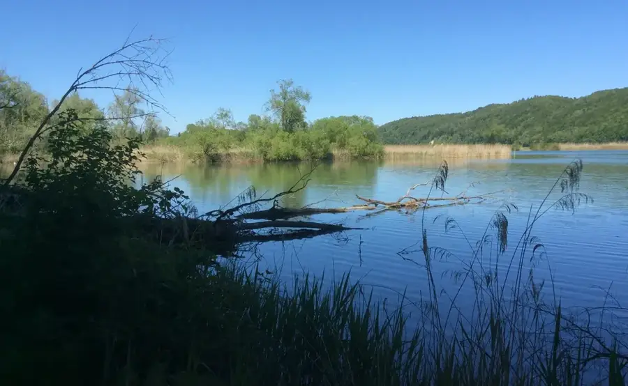 Rezervația Naturală Niederried — Grenchen (Elveția)