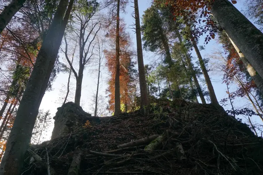 Ruinele castelului Riedburg — Val-de-Ruz (Elveția)