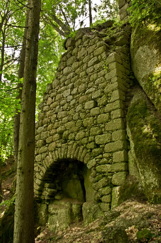 Ruinele castelului Sax — Arbon (Elveția)