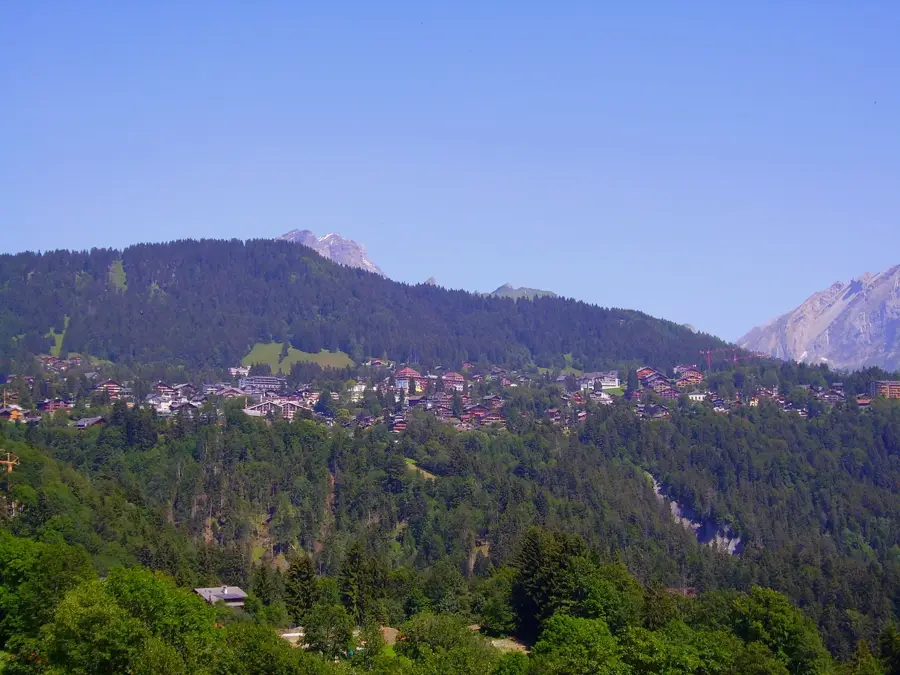 Villars-sur-Ollon — Pully (Elveția)