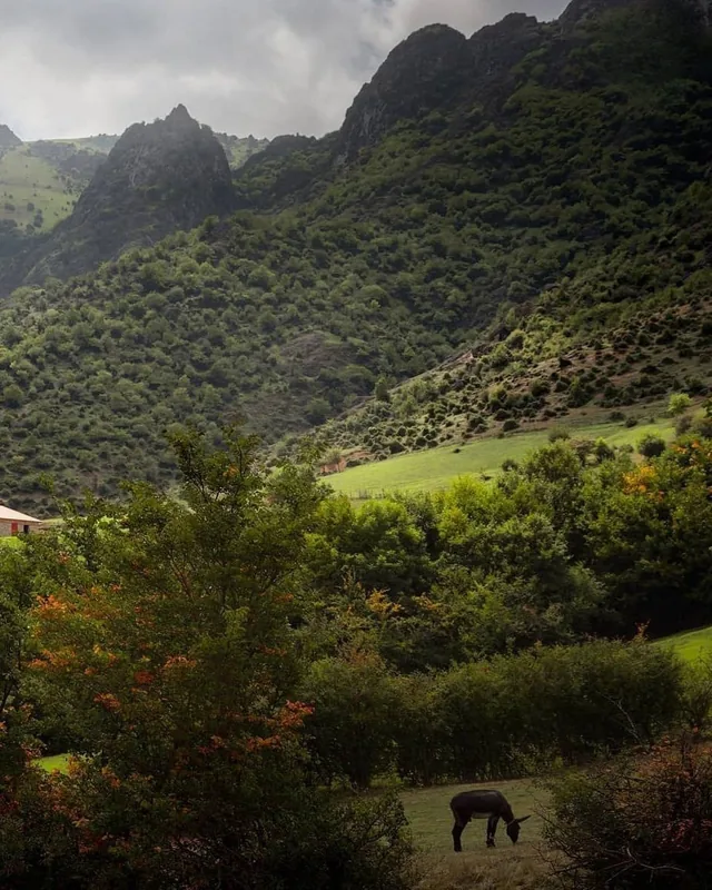 Talysh Mountains