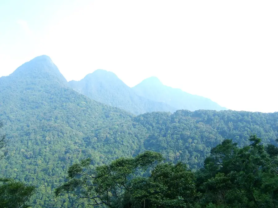 Tam Đảo National Park