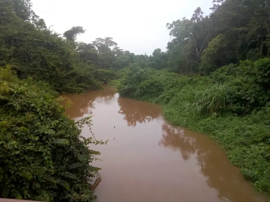 Tano — Bibiani (Ghana)