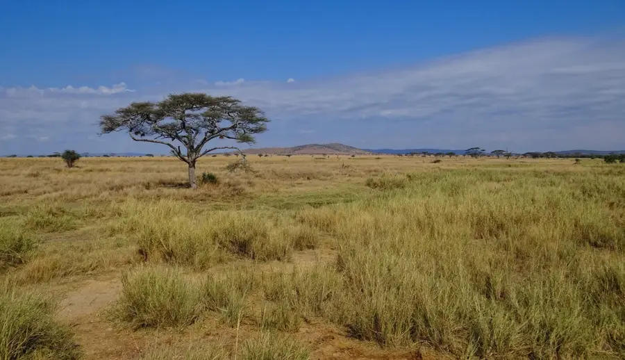 Serengeti Nationalpark