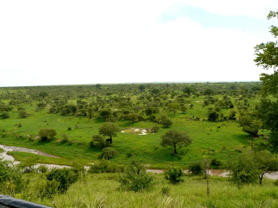Tarangire Nationalpark