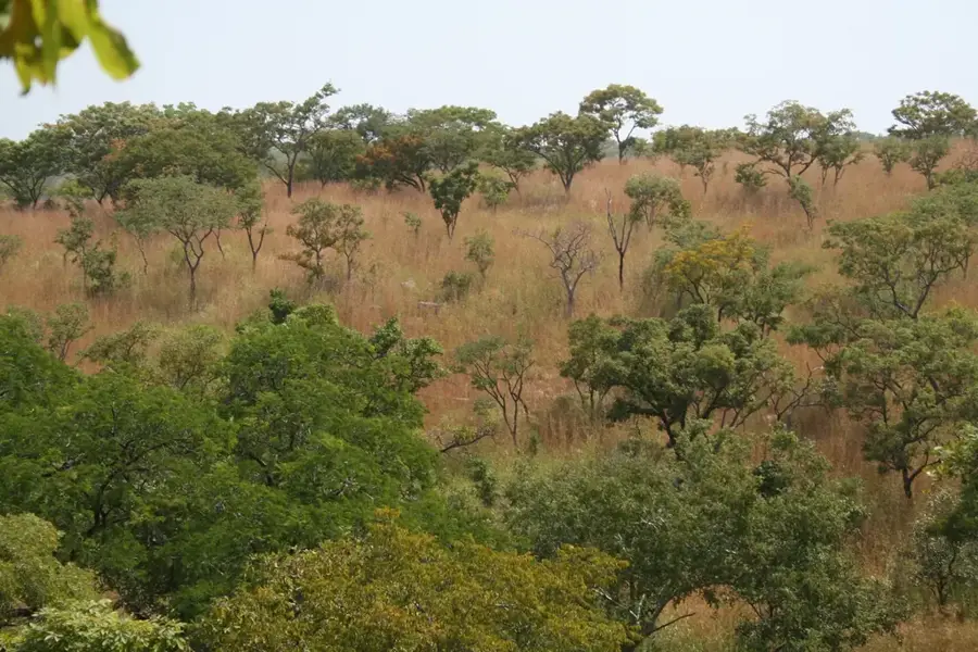 Tapoa Fluss-Reservat — Dallol Bosso (Niger)