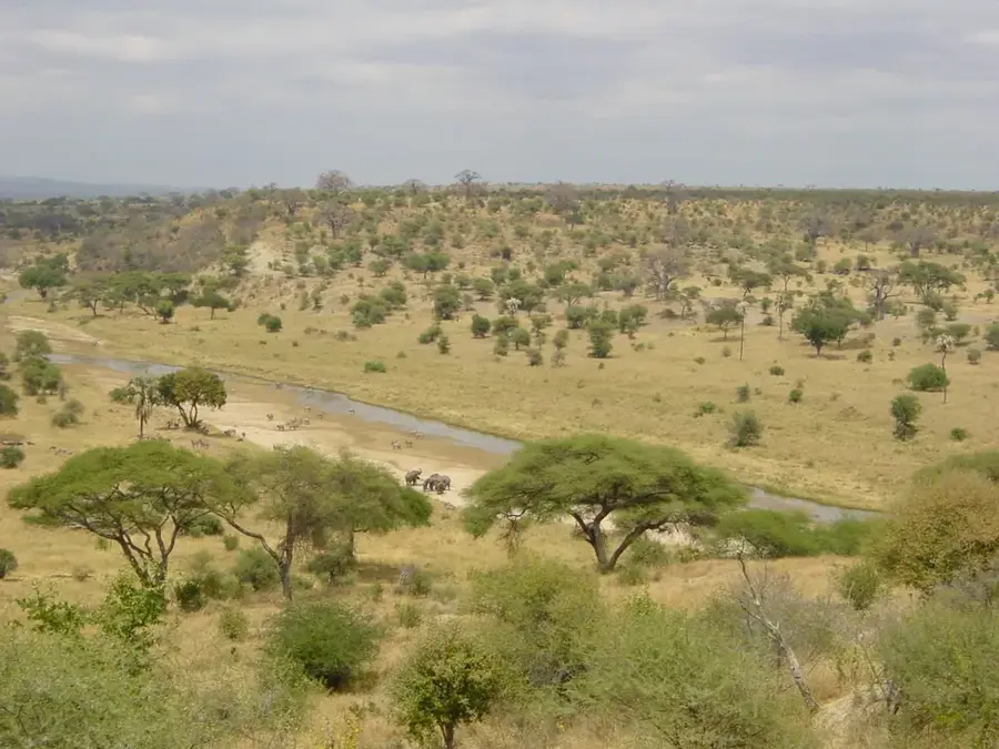 Parcul Tarangire — Karatu (Tanzania)