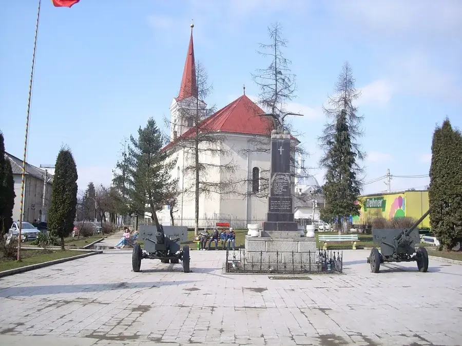 Târgu Lăpuș – Stadt