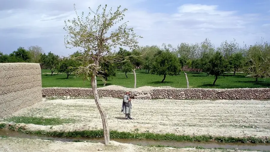 Tarinkot