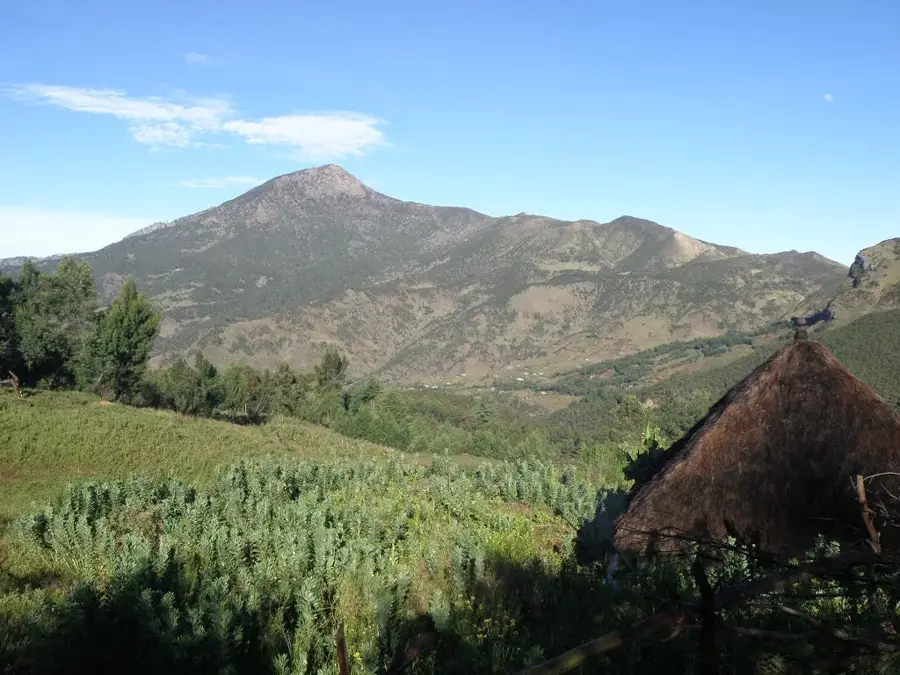 Tatamailau (Ramelau) — Maubisse (Timor-Leste)
