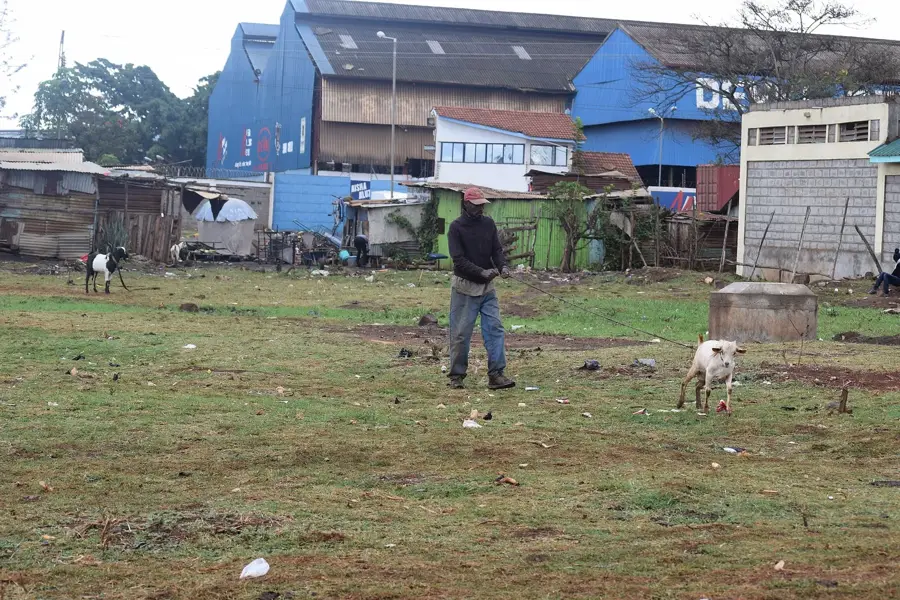 Tatu City Industriepark — Kiambu (Kenia)